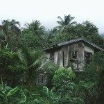 Shelter