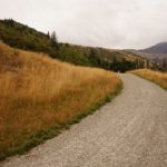 Camino